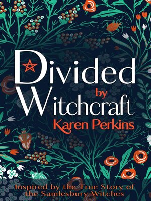 cover image of Divided by Witchcraft